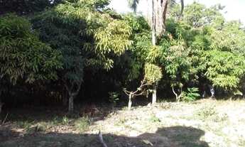 Imagem 7: Chácara 9.500m² com um barracão, muita água, terra boa/Jaboticatubas, temos varias opções