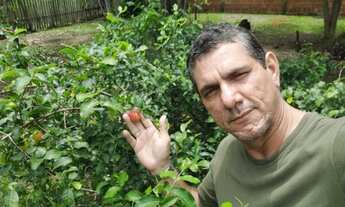 Imagem 2: Casa chácara e terrenos