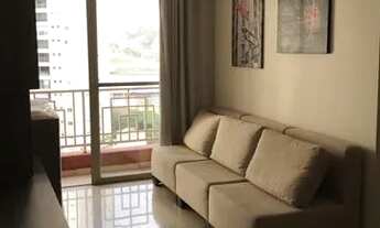 Imagem 3: APARTAMENTO - VILA BAETA NEVES - SP