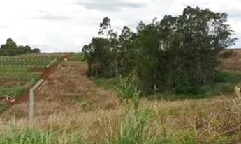 Imagem 3: * CHÁCARA Á VENDA *