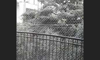 Imagem 4: SãO PAULO - Padrão - Perdizes