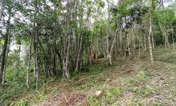 Imagem 2: Terreno no Loteamento Terras Altas em Gramado!