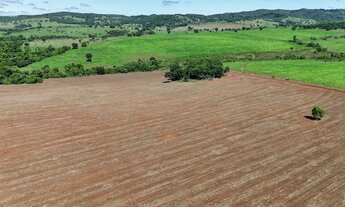 Imagem 4: Fazenda em pontalina-go