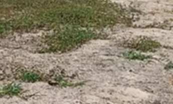 Imagem 3: Vendo terreno em Paraibuna SP 18.700m2