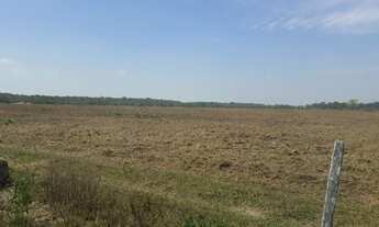 Imagem 6: Fazendacde arrendamento 1.200 hec plantando em pontes de Lacerda MT