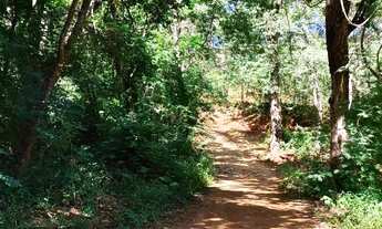 Imagem 3: VENDO SITIO NA ESTRADA DA PRODUÇÃO PROXIMO A SAMAMBAIA COM LINDAS BELEZAS NATURAIS
