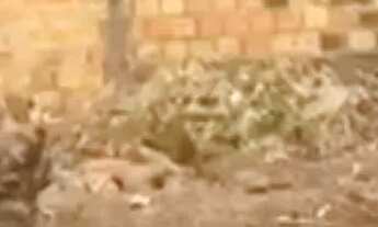 Imagem 5: Terreno pertinho da Kennedy no bairro Socopo medindo 25X50 com 1.250m²