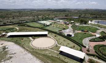 Imagem 3: Em Itaporanga Dajuda - Itaporanga Dajuda