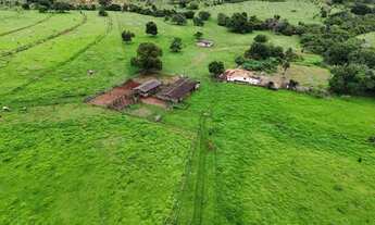 Imagem 6: Fazenda de 239 alqueires em Doverlandia-GO
