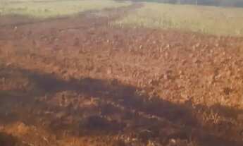 Imagem: Fazenda a venda Zona Rural - Uruaçu - GO