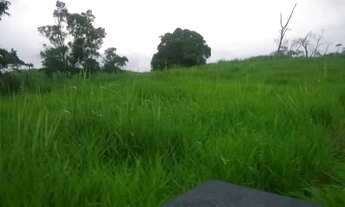 Imagem 3: Venda-se está propriedade de 45 Alqueires no Município de Rio Novo do Sul/