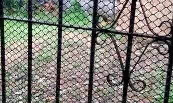 Imagem 5: Casa em Santa Izabel do Pará