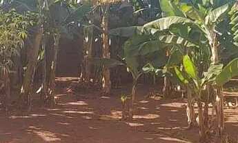 Imagem 2: Vendo lindo lote em Bady bassitt