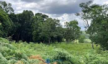 Imagem 3: Chácara com 2 ha de terra no São Victor Cohab