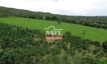 Imagem 7: Chácara 8 alqueires ( 38,72 hectares ) Aparecida de Goiânia - GO