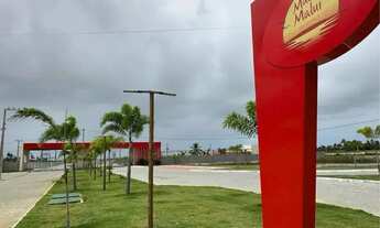 Imagem 4: Lote mares Maluy