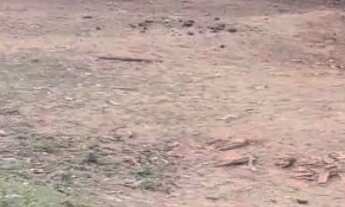 Imagem 4: Sítio Pedra Branca