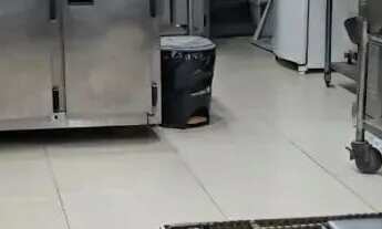 Imagem 2: Pizzaria Tradicional Zona Leste Ref; 1964