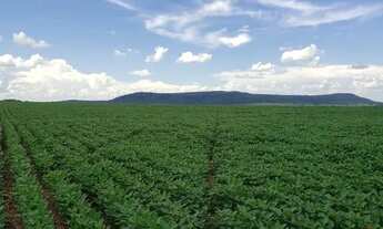 Imagem 2: Fazenda de 165 alqueires a venda em Jandaia-Go