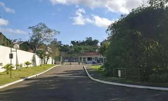 Imagem 2: Apartamento 2 dormitórios para alugar Vila Nova Porto Alegre/RS