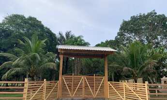 Imagem: Vendo ou troco sítio no ramal do pau rosa