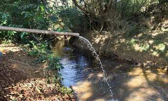 Imagem 2: BALNEARIO - CHÁCARA EM APARECIDA DO RIO NEGRO - CÓRREGO BARREIRO* VENDO 4,51 hectares