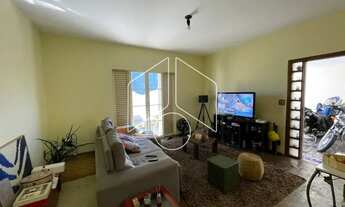 Imagem 7: Comercial / Casa - Banzato - Venda - Residencial