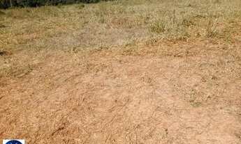 Imagem 5: Fazenda à Venda em Arenópolis - GO | 76 Alqueires