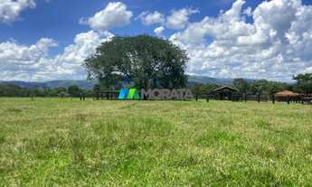 Imagem 2: FAZENDA À VENDA - 1.300 HECTARES - BURITIS (MG