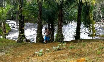 Imagem: Chácara próxima a Boipeba - com rio