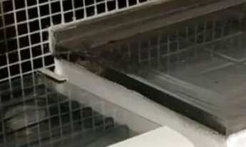 Imagem 4: IS14 LINDA CASA EM PAU DA LIMA