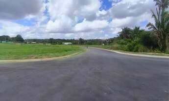 Imagem 5: Loteamento Reserva dos Babaçus