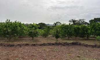 Imagem 5: Chácara 8km de Anapolis, formada, casa,galinheiro,tq peixe,cercada,5.295m2 córrego caldas