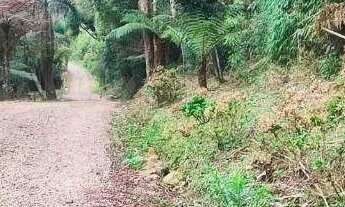 Imagem 6: Chácara à venda, 4731 m² por R$ 480.000,00 - Borda Do Campo - São José dos Pinhais/PR