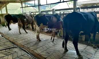 Imagem 2: Fazenda à Venda em Mimoso do Sul ? 49 Alqueires com Estrutura Completa para Pecuária