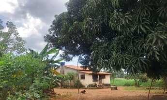 Imagem: Chácara em Varjão/GO