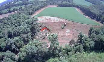 Imagem 5: Sítio em Área Rural - Área Rural de Araucária - Araucária/PR