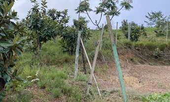 Imagem 4: Atenção chácara na br060