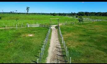 Imagem 5: VENDO FAZENDA EM RIO PRETO DA EVA