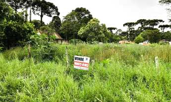 Imagem 7: Excelente terreno de esquina, plano, seco, 15x40, 600m2, a uma quadra da Rua Herbert Trapp