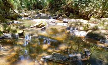 Imagem 3: Vendo um terreno de mil metros na região de Mairinque