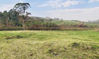 Imagem 3: Terreno bom e barato - sj355