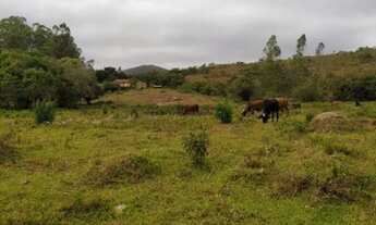 Imagem 3: Sítio Fazendinha 6 Hectares, Desterro de Entre Rios - MG