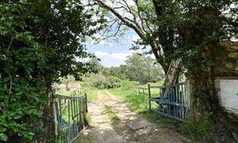 Imagem 4: Sítio com 8 dormitórios à venda, 145200 m² por R$ 4.000.000,00 - Gramadinho - Porto Feliz