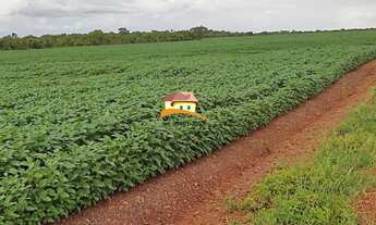 Imagem 3: Fazenda para Venda, Região produtora consolidada