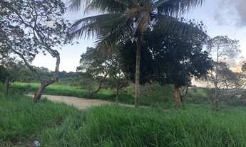 Imagem 6: Vende-se Um Terreno - Loteamento São João e João Paulo