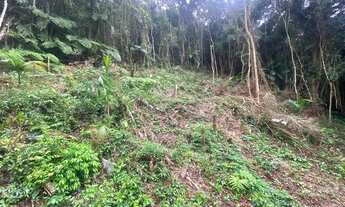 Imagem 10: Lindo terrreno com terra planagen apenas 47 mil reais