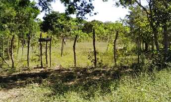 Imagem 2: Terreno próximo a antiga dudico