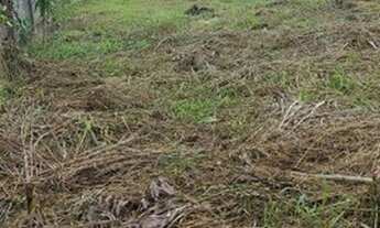Imagem 4: Terreno Terreno / lote com venda por R$70.000