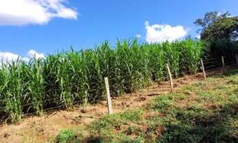 Imagem 3: Sítio para Venda em Uberlândia, Centro, 3 dormitórios, 1 suíte, 3 banheiros